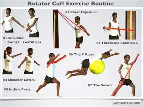 Rotatir cuff routine | Rotator cuff exercises, Rotator cuff, Shoulder rehab exercises