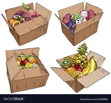 Set fresh fruits in cardboard boxes Royalty Free Vector