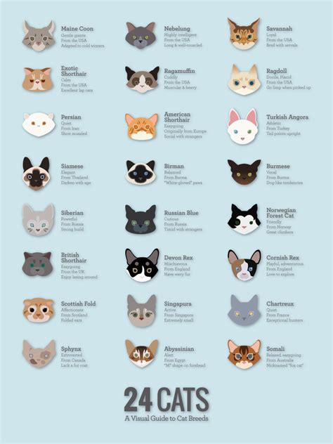 Pet Breeeders: Do You Know Your Cats Breed