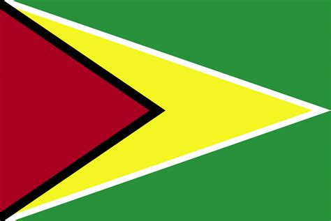 Flag of Guyana, 2009 | ClipArt ETC