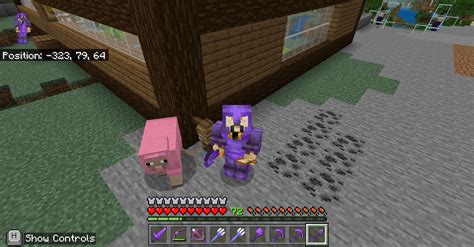 My new pet.😁 : r/Minecraft