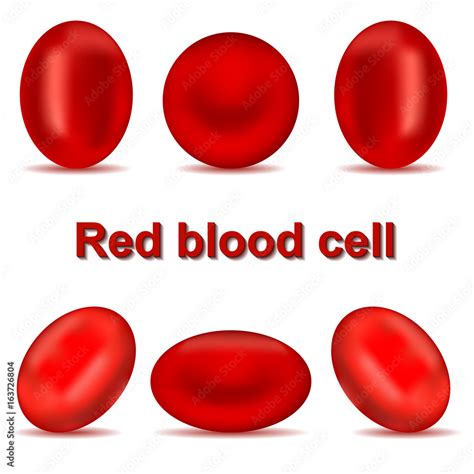 Red blood cells. Artery. A cartoon. For your design. Stock Vector | Adobe Stock