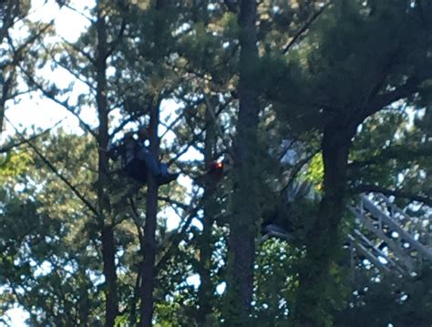 Paraglider crash lands in the trees at Wright Brothers National ...