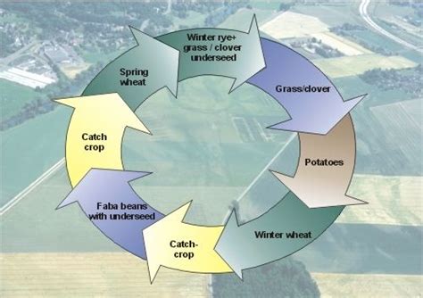 Crop rotation | Agricultural revolution, Late middle ages, European history