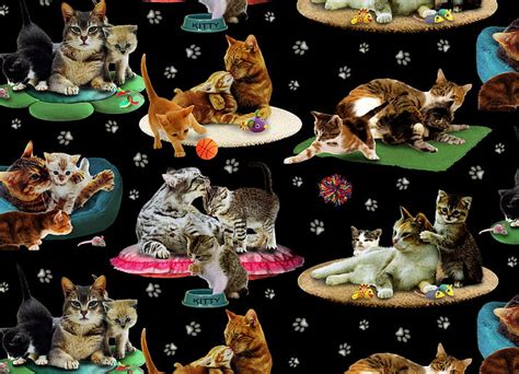 Cats Collage Background