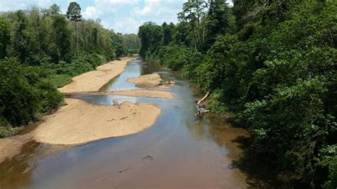 Konni Forest Reserve (Pathanamthitta) - 2021 All You Need to Know BEFORE You Go (with Photos ...