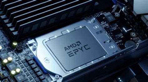 AMD unveils AMD EPYC 7003 series processor for data center, cloud ...