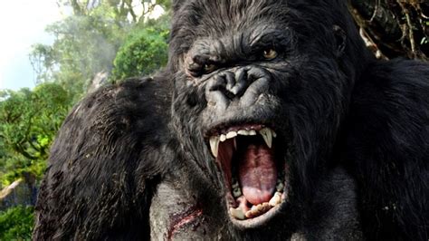 King Kong, come è cambiato: dal 1933 a oggi, aspettando "Skull Island ...