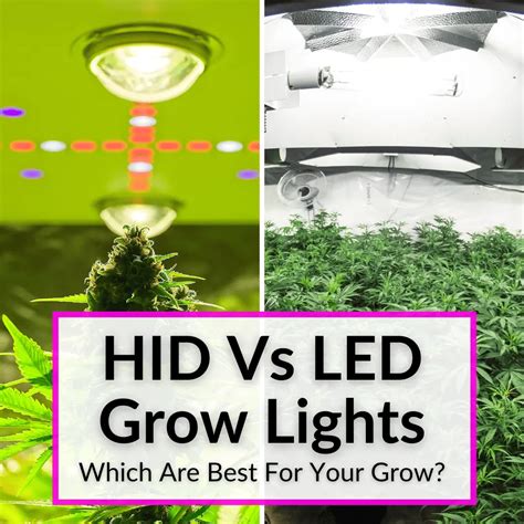 HID Vs LED Grow Lights (Which Are Best For Your Grow?)