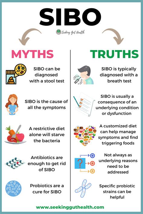 5 SIBO myths that may hinder your healing » SeekingGutHealth