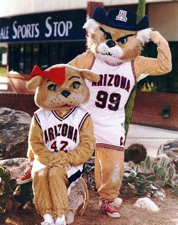 Why The University Of Arizona Has The Best Mascots In The Nation