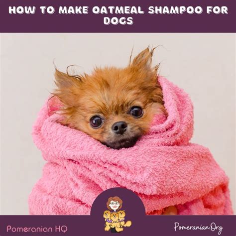 Learn How to Make Oatmeal Shampoo for Dogs