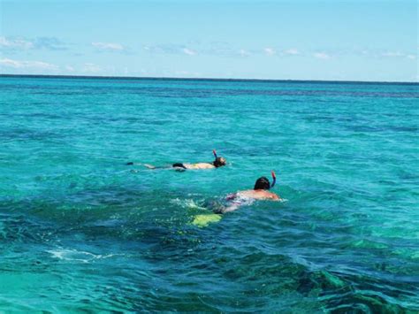 The Best Snorkel & Scuba Dive Tours in Tongatapu - Tonga Pocket Guide