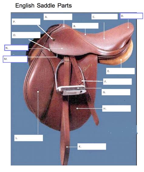 Discrepancy Figure fort parts of the saddle diagram Disparity ...