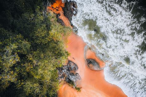 Aerial View of the Sandy Beach Near the Forest · Free Stock Photo