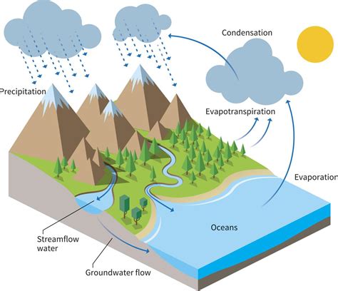 Water Cycle Project Ideas - Science Struck