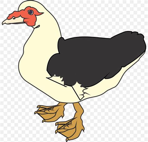 Muscovy Duck Clip Art, PNG, 800x785px, Duck, Aflac Duck, Art, Artwork, Beak Download Free