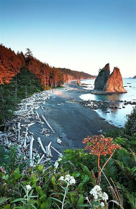 Rialto Beach, Olympic National Park, Washington | travel [ Washington ...