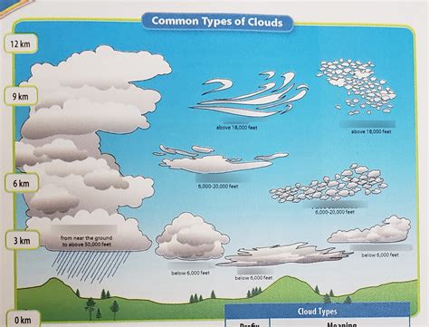 Types Of Clouds Diagram