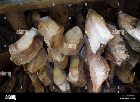 Hakarl, rotten shark meat, Iceland Stock Photo - Alamy