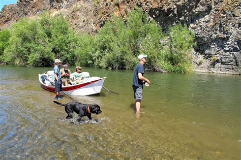 YAKIMA RIVER REPORT - 7/23/14 - The Evening Hatch