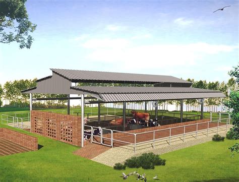 MODERN CATTLE SHEDS, PUNJAB | Farm shed, Cow shed design, Cow shed