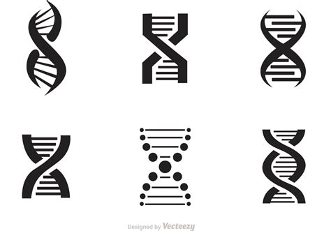 Set Of Doble Helix Icons Vector - Download Free Vector Art, Stock ...