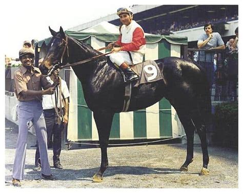 The Legacy Of Ruffian 41 Years Later