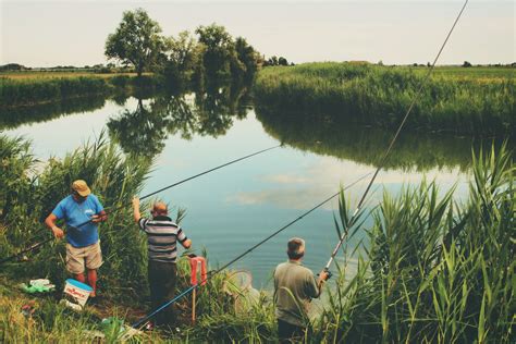 Pond Stocking Tennessee | Fish Stocking Services | Pond Stocking Near Me | Fish Stocking Near Me ...