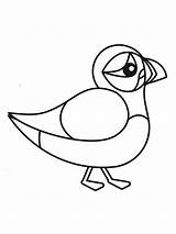 Puffin Coloring Pages  Free Printable sketch template