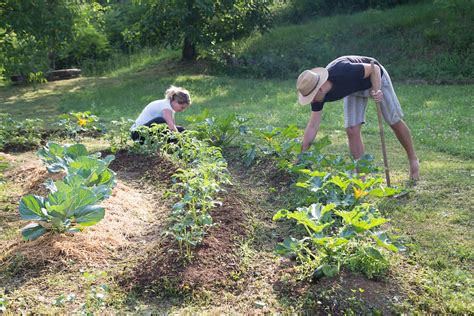 Permaculture Garden Design Examples | Fasci Garden