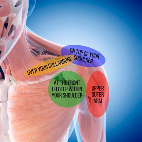 What Could be Causing Your Shoulder Pain? – Dayton Orthopaedic Surgery