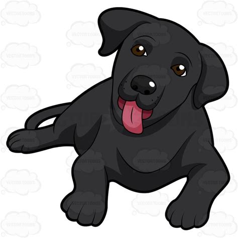 800x800 Cute Black Labrador Puppy Lying Down With Its Tongue Sticking Out | Puppy cartoon ...