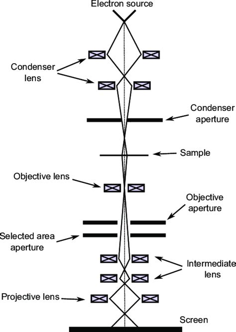 4: Transmission electron microscope schematic diagram. | Download Scientific Diagram