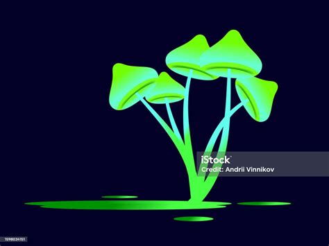 Green Bioluminescent Mushrooms With A Puddle On A Black Background ...