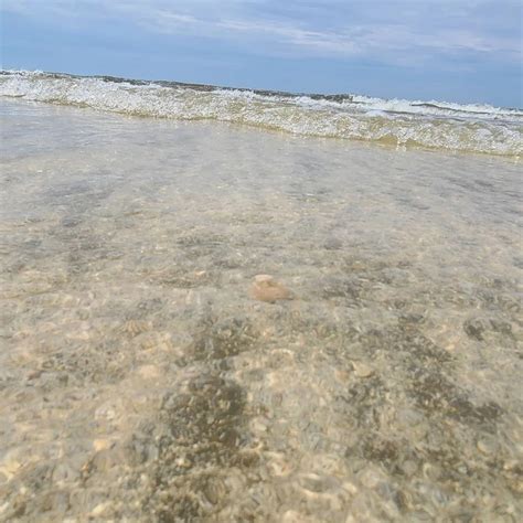 Clear Water at Rutherford Beach, Louisiana