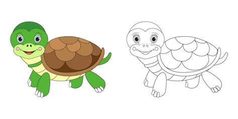 Turtle line and color illustration. Cartoon vector illustration for coloring book. 37130817 ...