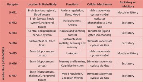 Table Showing Characteristics of Serotonin Receptors - subtypes, locations in the brain/body ...