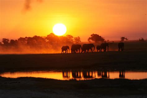 Chobe River - Africa Epic Safaris