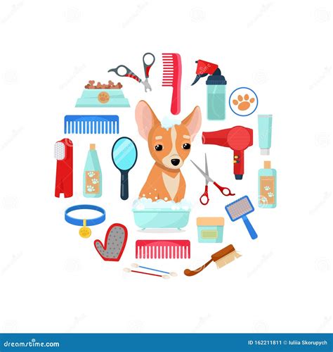 Grooming tools and dog stock vector. Illustration of animal - 162211811