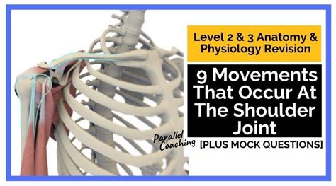 9 Movements That Occur At The Shoulder Joint - Revision Video