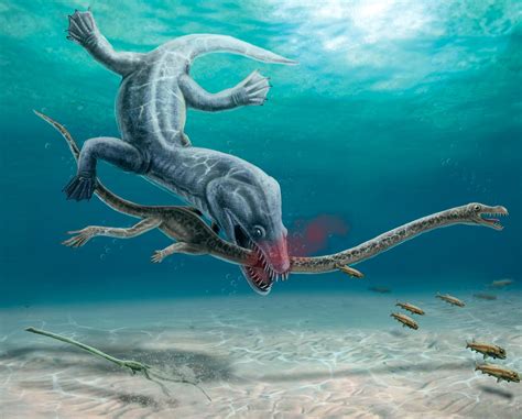 “Achilles Neck” – Fossils Reveal Long-Necked Reptiles Were Decapitated ...