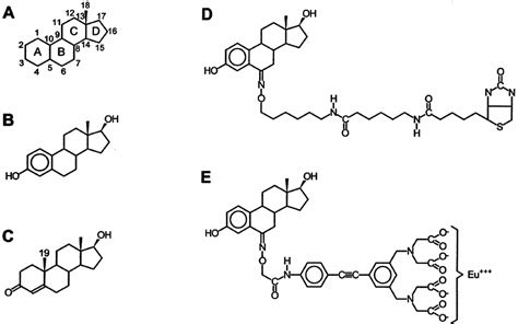 Molecular structures of the steroids and their derivatives used in this... | Download Scientific ...