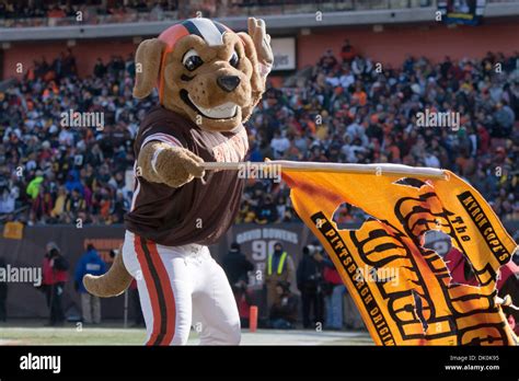 Jan. 2, 2011 - Cleveland, Ohio, U.S - Cleveland Browns mascot Chomps ...