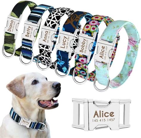 Best Personalized Dog Collars 2024 – For All Sized Dog – Pet Guide Reviews