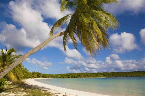 Beaches of Vieques, Puerto Rico Travel Guide