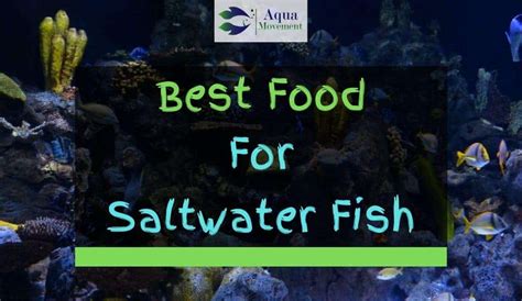 Best Saltwater Fish Food - Top 7 Review | Aqua Movement