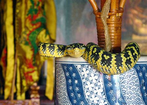 1. In the Snake Temple in Pulau Pinang, Malaysia, has a place and ...