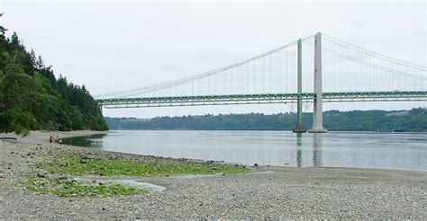 The Tacoma Narrows Bridge | Travels With Towhee