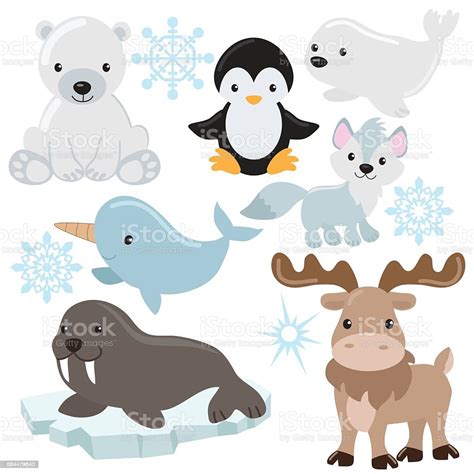 Arctic Animal Vector Illustration Stock Illustration - Download Image ...